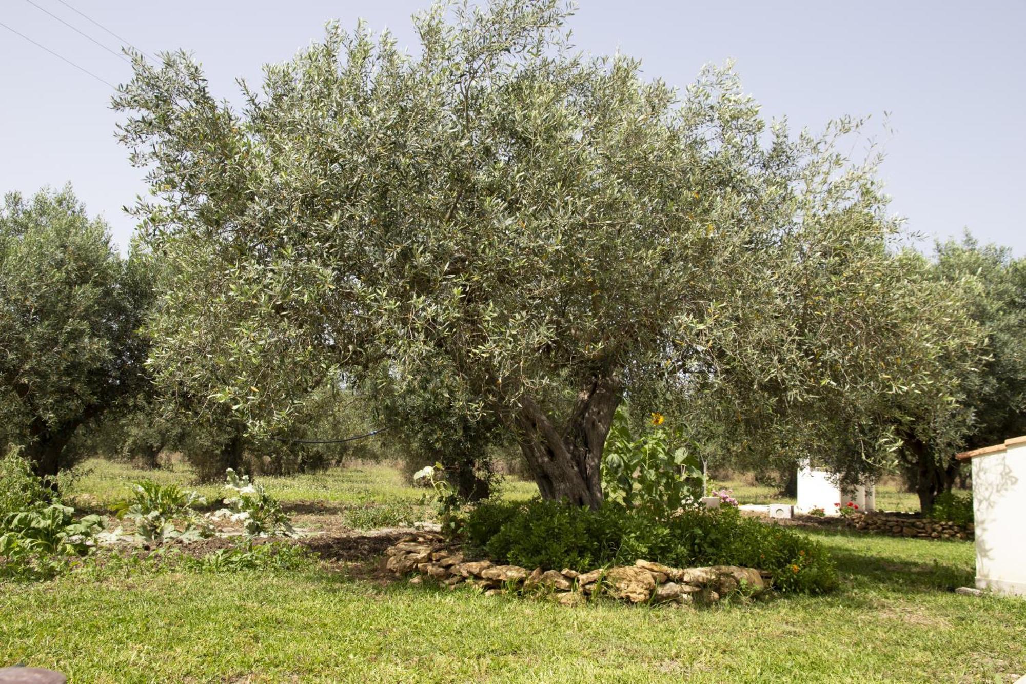 Casa Raineri Villa Paceco Kültér fotó